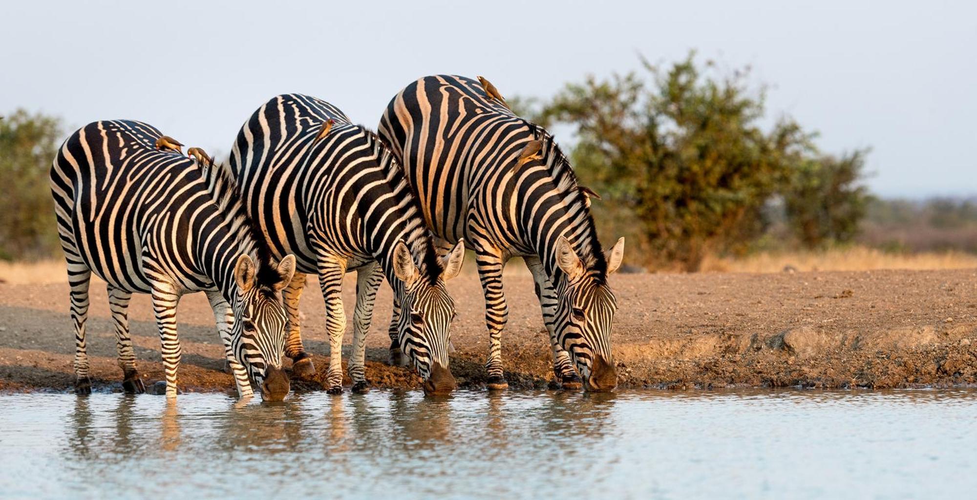 Willa The View Kariba Zewnętrze zdjęcie